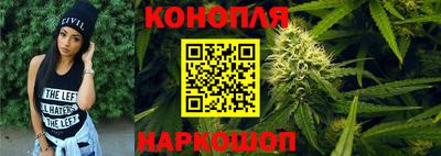сатива Коммунар